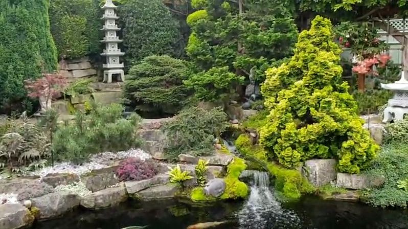 Majitel ukrývá zahradu v japonském stylu za víc než milion korun za nenápadným domem